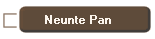 Neunte Pan