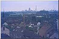 Teloy Mühle - Maizena